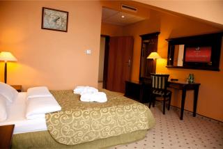Grand Royal Hotel - Poznań - 9