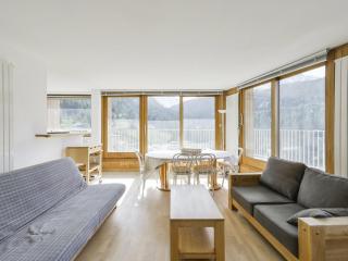 Appartement skis aux pieds, 4 pièces, proche centre, animaux admis, parking, WiFi optionnel - FR-1-514-14 - 8