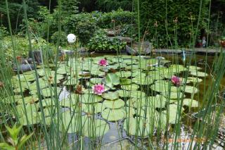 Ferienwohnung Habichtstal - 6