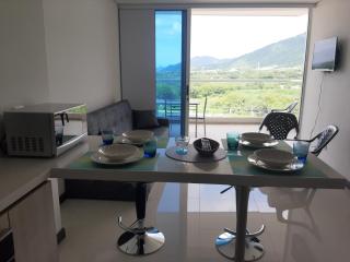 Hermoso apartamento a 300 m Playa Bello Horizonte Pozos colorados - Santa Marta - 2