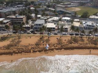 The Surfing Turtle - Luquillo - 1