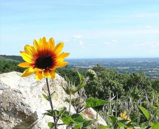B&B Cà Montemezzano - Verona - 5