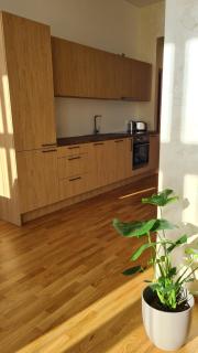 Tamula Lake View Apartment - Võru - 8
