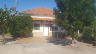 Quinta do Serrado de Belmonte - Belmonte - 7