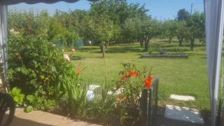 Quinta do Serrado de Belmonte - Belmonte - 2