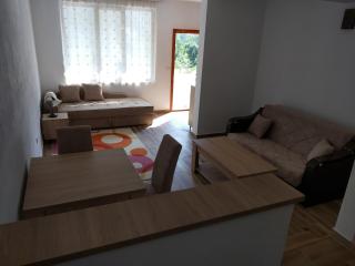 Apartmani Tara i Zabojsko Dobrilovina - 9