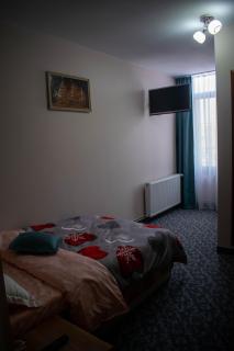 Pensiunea La Profi - Târgu Jiu - 1