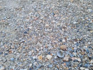 Your Escape to the Lake and Beach - 3