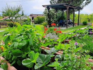 Cascina Teresina Monferrato Piscina - Cortazzone - 1