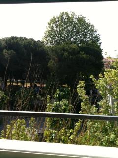 Hotel Caprice - 9
