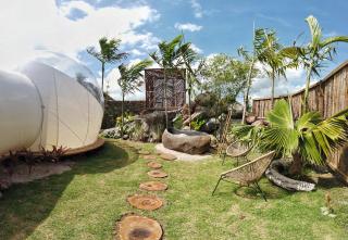 Green Land Bubble Glamping - 4
