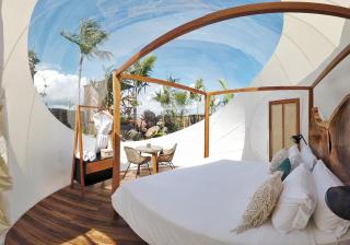 Green Land Bubble Glamping By Mint - Cabarete - 7