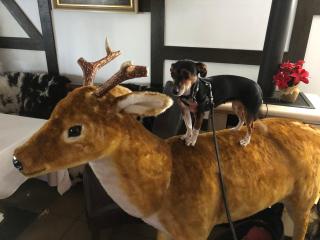 Berghotel Natura Bed & Breakfast - 6