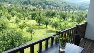 Cevizdibi Hotel - Masukiye - 3