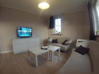 ApartamentyKudowa - Willa Pod Dębami z ogrodem i parkingiem, - Kudowa-Zdrój - 9