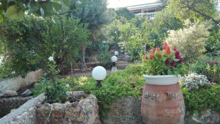 Ideal place for family near the beach with garden - 3