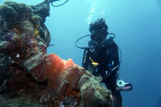 Grand Luley Manado - Manado - 1