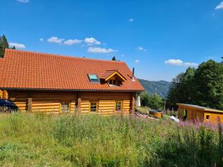 Luxus-Ferienhaus Blockhaus Chalet Nr 2 Toplage am Feldberg mit Sauna, Outdoor-Hottub, Kamin auf 1300m üM - Feldberg - 0