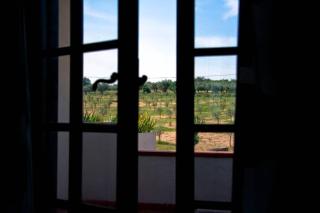 La Prediletta Country House - 8