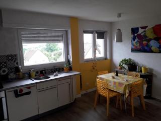 La chambre Plume - Truchtersheim - 2