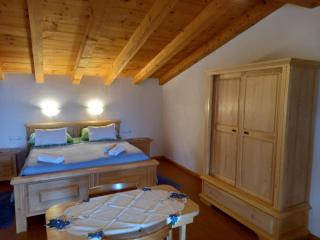 Baderna Apartment - Baderna - 1