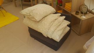 Glamping z alpakami - Jankowice - 2