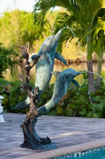 Dolphin Cove - 0