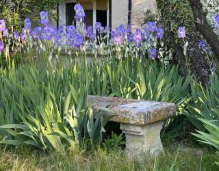 Villa de l'Agapé - Drome provencale - 7 ch - 10 à 24 personnes - 350m2 - Tulette - 8