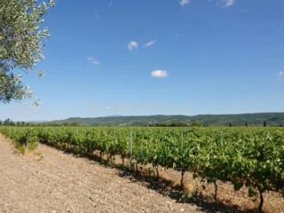 Villa de l'Agapé - Drome provencale - 7 ch - 10 à 24 personnes - 350m2 - Tulette - 5