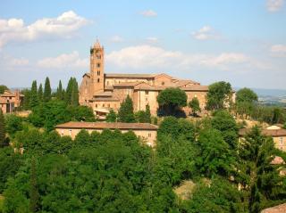 Vacanze Senesi - Siena - 1