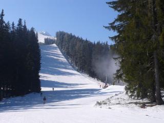 Chalet White Fang - Bansko - 1