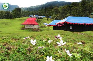 Chopta Mount Holiday Camp & Resort - 5