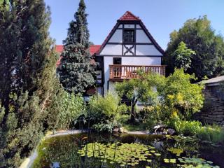 Pusteblume - Groitzsch - 5