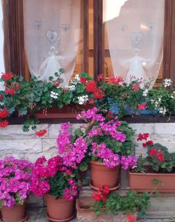 Casa Jolie - Mezzano - 6