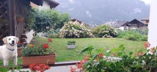 Casa Jolie - Mezzano - 4