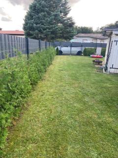 Ferienhaus Rohde - Dargun am Waldeck - Dargun - 3