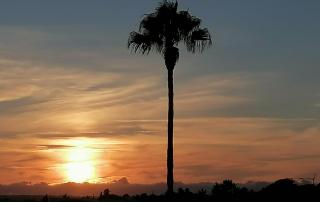 Apartamento T2 Palmeira Galé-Praia da Galé - 7