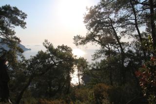 Armina Pension - 5