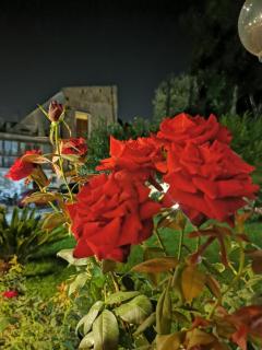 L'Angolo di Campagna - Piano di Sorrento - 1