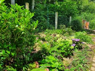 Waldhaus Harz, Natur pur mit Pool, Sauna und traumhaften Garten - 5