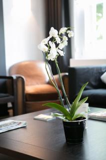 Hotel St James - Mons - 4