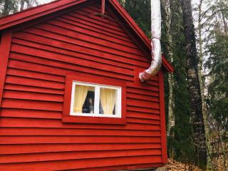 Tiny hut in the forest overlooking the river - Avesta - 7