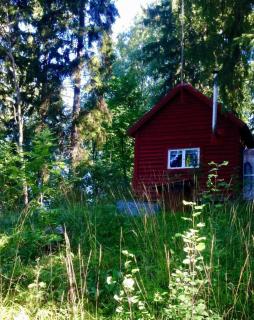 Tiny hut in the forest overlooking the river - Avesta - 2