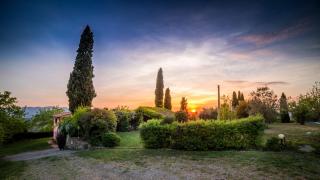 I Trebbiali - Reggello - 1