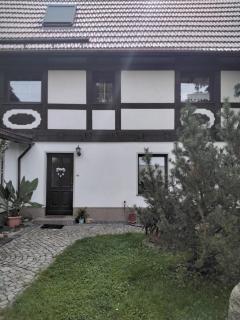 Pusteblume - Groitzsch - 3