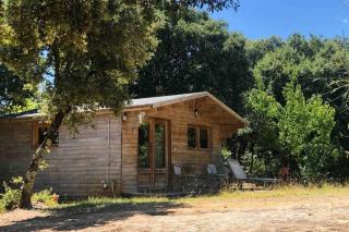 Ma petite cabane Gites des oliviers - La Roque-sur-Cèze - 9