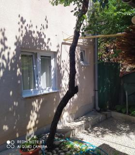 little&sweet - Sarajevo - 2