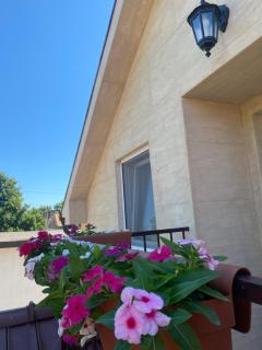 OMIS Rooms - Pančevo - 2