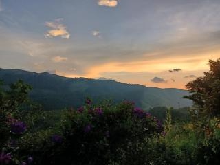 The Kissing Mountains - Vagamon - 4