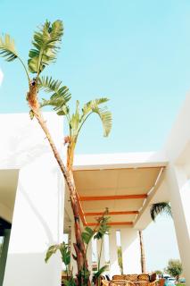 Hotel Ionian - Dhërmi - 4